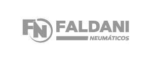 faldani neumáticos logo